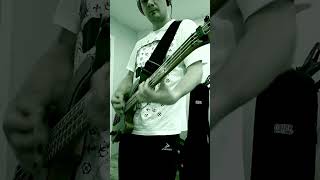 Type O Negative  Nettie Bass Cover [upl. by Jocko5]