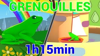 Histoires de Grenouilles  Les Patapons [upl. by Ramiah]