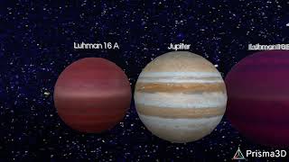 Luhman 16 System Size Comparison [upl. by Eillil16]