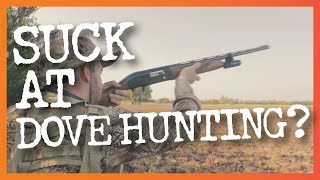 8 Common Dove Hunting Mistakes amp How to Fix Them [upl. by Eidurt]