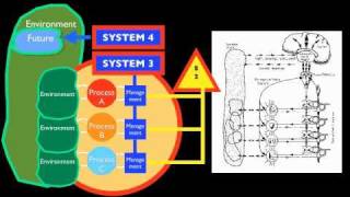 The Intelligent Organization PART I Stafford BEER  Javier Livas [upl. by Klatt]