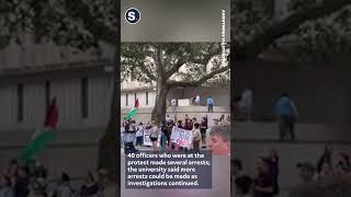 Three Tulane University Students Assaulted After Palestine and Israel Supporters Clash [upl. by Nilo]