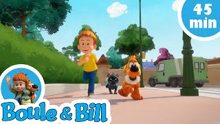 🐈Boule et Bill se font embêter par le chat Caporal 😠  Nouvelle compilation Boule et Bill FR [upl. by Wyly]