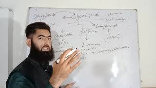 Biochemistry of lipids types of glycolipids cerebrosides globosides Gangliosides [upl. by Niwle]