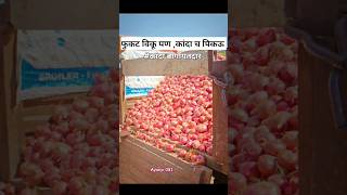 कांदाबागायतदार marathi bollywood music song 17कांदा farming gangapur kanda todayonion [upl. by Rratsal748]