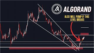 Algorand Price Analysis If THIS LEVEL Breaks I expect ALGO to pump almost 100 [upl. by Dlonra]