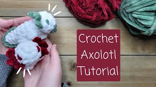 Crochet Axolotl Tutorial  Day 1 of the 12Day Crochet Christmas Challenge [upl. by Nedry]