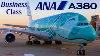 BUSINESS  ANA Airbus A380  🇯🇵 Tokyo  Honolulu Hawaii 🇺🇸 Upper Deck FULL FLIGHT REPORT [upl. by Klein]