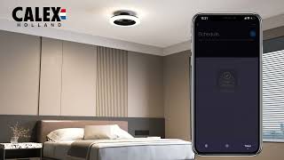 CALEX Smart Ceiling Fan Light Installation [upl. by Service964]