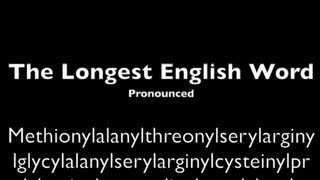 Longest English Word Pronounced [upl. by Sneed144]