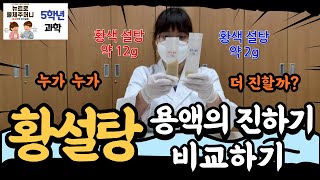 5학년 1학기 4단원 6 황설탕 용액의 진하기 비교하기 [upl. by Adama218]