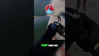 Saving the Ocean with Magnet Fishing You Wont Believe This [upl. by Lusar]