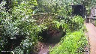 Shanklin Chine  Bridge  Isle of Wight  LIVE UK Webcams [upl. by Irim]