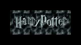 Harry Potter Film Müziği [upl. by Diarmid]