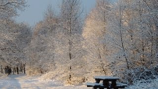 Weerbericht vrijdagochtend Stevige sneeuwval [upl. by Royall]