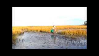 Harvesting Quahog Clams with Chef Gus Headington of Soundside Restaurant [upl. by Adama]