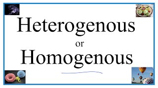 Heterogenous vs Homogenous Definitions Examples amp Practice [upl. by Ericksen550]