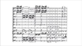 Schumann  cello concerto in A minor Op129 1850 III Movement [upl. by Haissem]