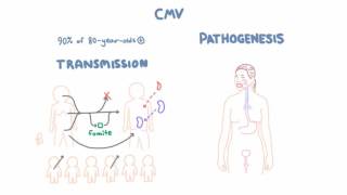 CMV Virology  Epidemiology and Pathophysiology [upl. by Raff]