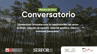 🔴 Conversatorio Plantaciones Forestales aportando a la competitividad del sector forestal [upl. by Anhcar23]