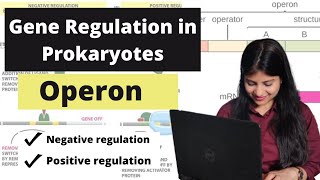 Gene Regulation in Prokaryotes \Operon\Negative and positive regulation\Repressible and Inducible [upl. by Colvert]