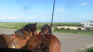 Kutschfahrt auf Hallig Hooge [upl. by Wong]