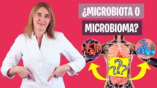 Debes ENTENDER el MICROBIOMA y la MICROBIOTA  Microbiota intestinal  Nutrición y Dietética [upl. by Ahseyt]