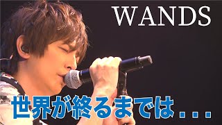 WANDS  世界が終るまでは【歌ってみた】青木隆治 [upl. by Lyndsey]