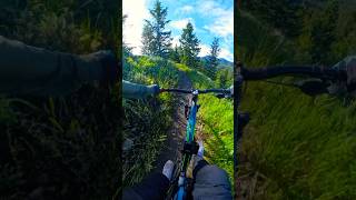 GT Agressor pro mtbbikes mtb [upl. by Dev741]