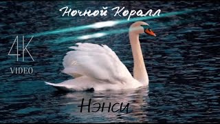 NENSI  Ночной Коралл  V  Нэнси 2022 г 4K [upl. by Yrrehs863]