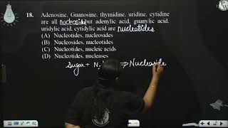 Adenosine Guanosine thymidine uridine cytidine are all  but adenylic acid guanylic a [upl. by Ocisnarf259]