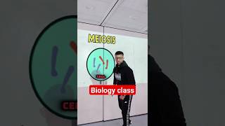 Meiosis explained  GCSE [upl. by Tdnerb]