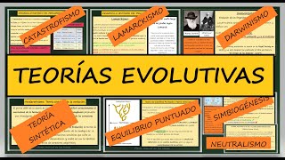 Teorías de la Evolución Lamarckismo Darwinismo Neodarwinismo Equilibrio Puntuado Simbiogénesis [upl. by Oberheim821]