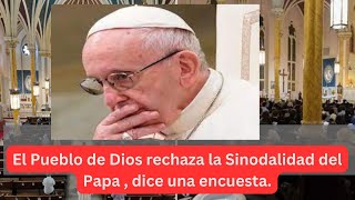 Rechazo casi unánime al plan de la sinodalidad para la Iglesia de hoy y del futuroSD 480p [upl. by Noicnecsa824]