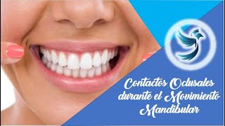 Contactos oclusales durante el Movimiento Mandibular 😊😀🦷 [upl. by Acihsay615]