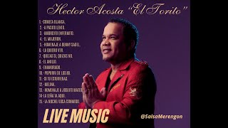 HECTOR ACOSTA quotEl Toritoquot en Vivo [upl. by Melly]