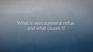 Vesicoureteral Reflux VUR  FAQ with Dr Heather Di Carlo [upl. by Kcirredal]