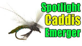 Spotlight Caddis Emerger Fly Tying [upl. by Gmur]