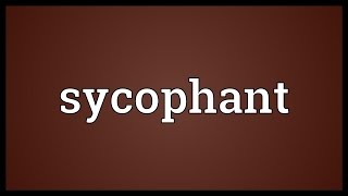 Sycophant Meaning [upl. by Lamond922]