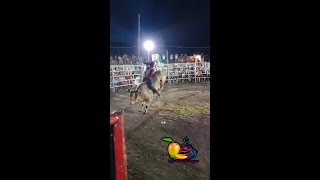 Vamonos a las fiestas patrias Dia 2 del jaripeo en Ajuchitlan del ProgresoLos reyes del pueblo [upl. by Sidnarb]