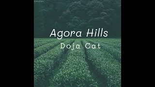 Agora Hills  Doja Cat  1 hour  by DJ Maris [upl. by Elle]