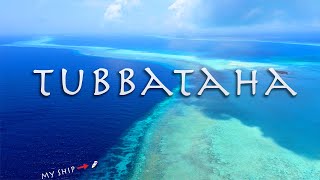 TUBBATAHA the Philippines Greatest Wild Life Sanctuary [upl. by Old]