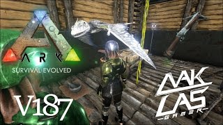 ARK  survival evolved นกมดใหม่ หน้าไม้ V187 EP 11 [upl. by Polly]