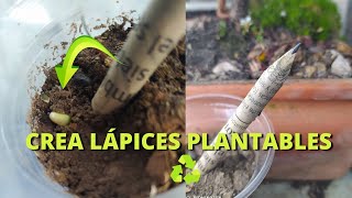 quotCrea Lápices Plantables con Papel de Periódico DIY Reciclajequot [upl. by Ytirev732]