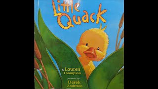 Little Quack Read Aloud [upl. by Anaynek343]