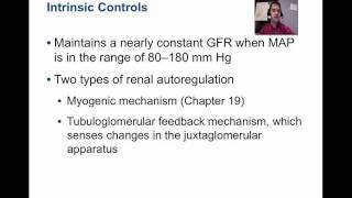 Urine Formation Glomerular Filtration [upl. by Narmak]