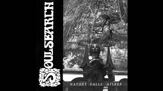 Soulsearch  Nature Falls Asleep  1993  Full Demo [upl. by Alysa]