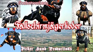 Dicker Hund Sondersendung  Fallschirmjägerlieder SpezialParatrooper Songs Special [upl. by Barabas]