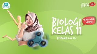 Ruangguru Live Biologi Kelas 11 Bersama Kak Iis [upl. by Garwin]