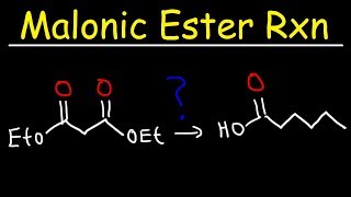 Malonic Ester Synthesis Reaction Mechanism [upl. by Leksehcey14]